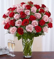 Ultimate Elegance Long Stem Pink & Red Roses - Heart & Home Flowers