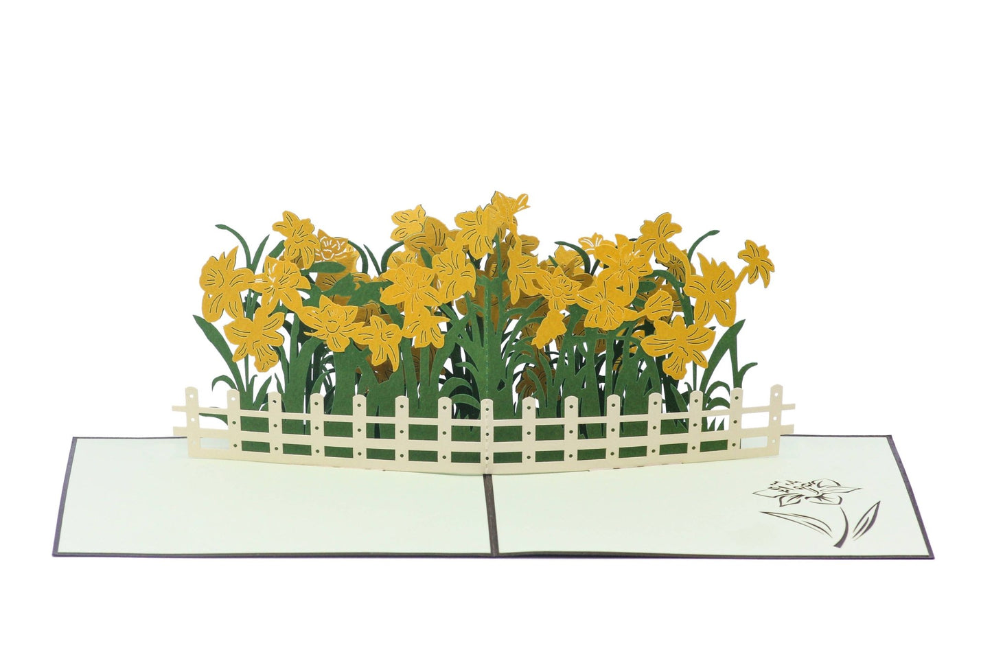 Daffodils Pop - Up Card - Heart & Home Flowers