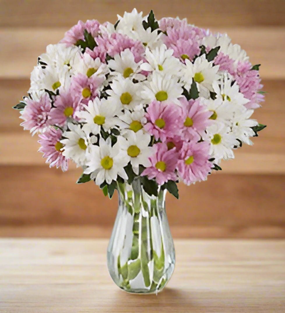Sea of Daisies - Heart & Home Flowers
