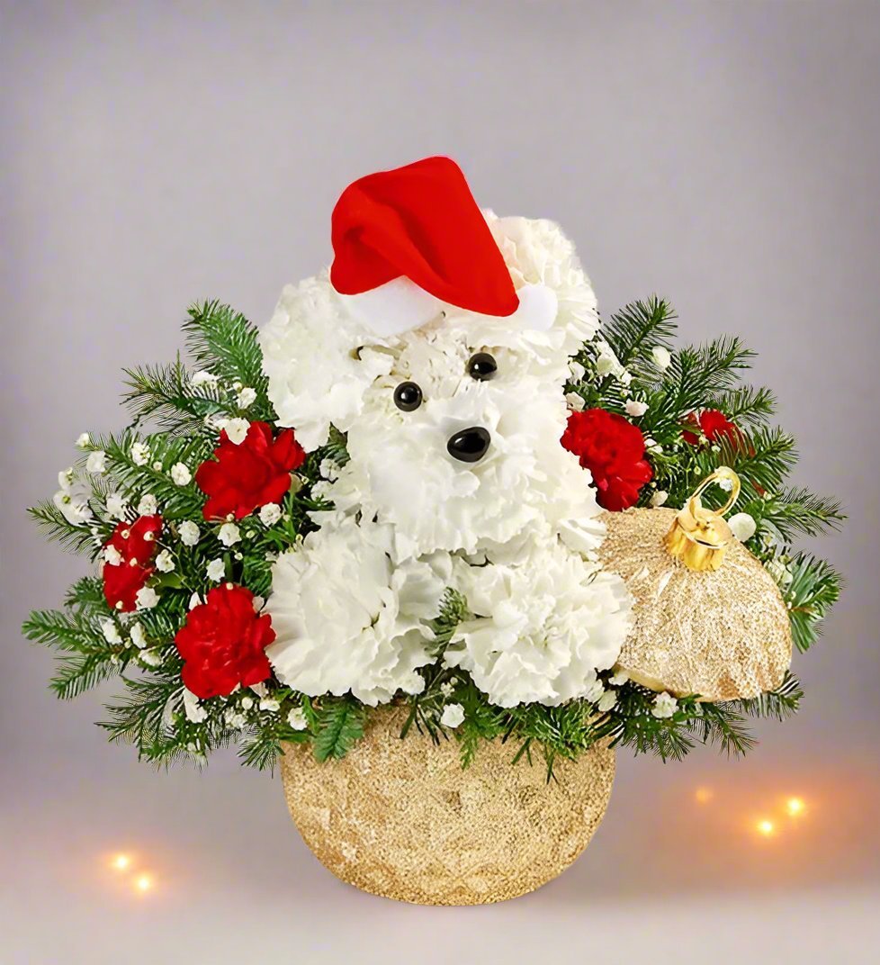 Doggie Santa - Heart & Home Flowers