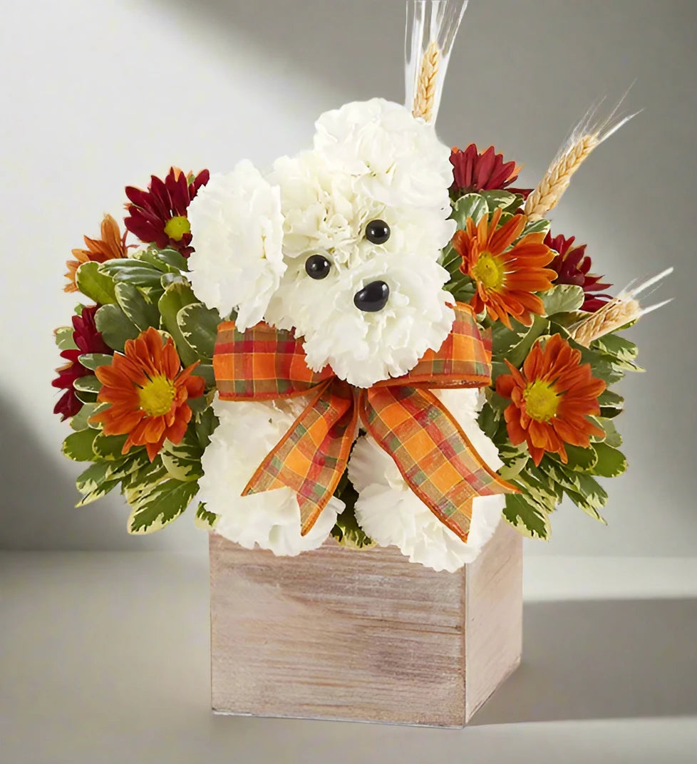 a-DOG for Fall