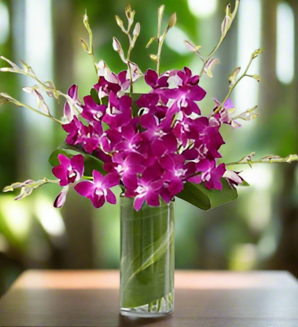 Just Dendrobium Orchids - Heart & Home Flowers
