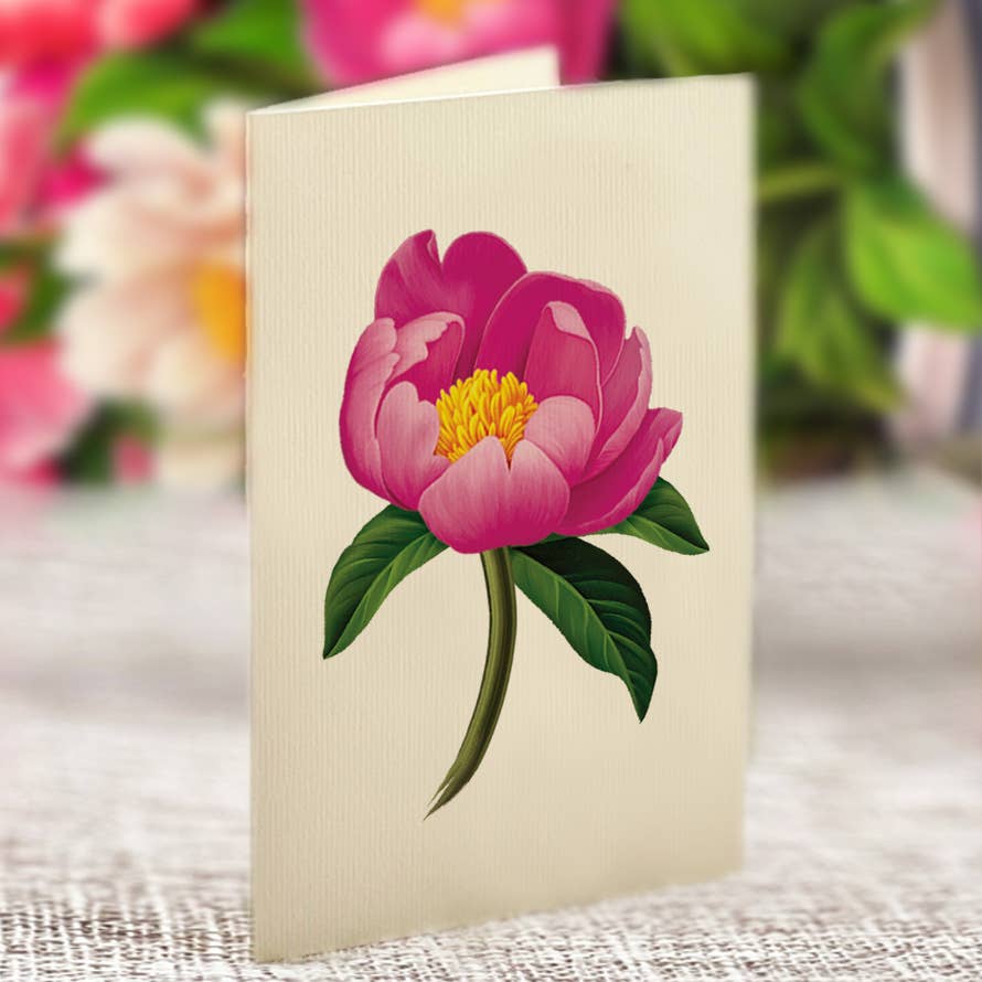 Grande Peony Paradise Pop Up Card - Heart & Home Flowers