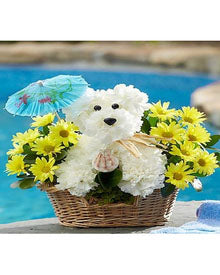 Doggie Paddle by Heart and Home Flowers