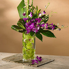 Orchid Treasure by Heart & Home Flowers