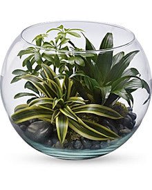 Sphere Terrarium - Heart & Home Flowers