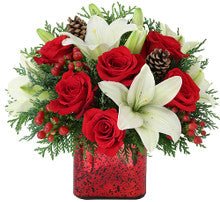 Melting in Snow - Heart & Home Flowers