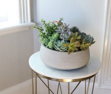Newport Succulent Garden - Heart & Home Flowers