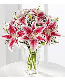 Stargazer Lilies Bouquet - Heart & Home Flowers