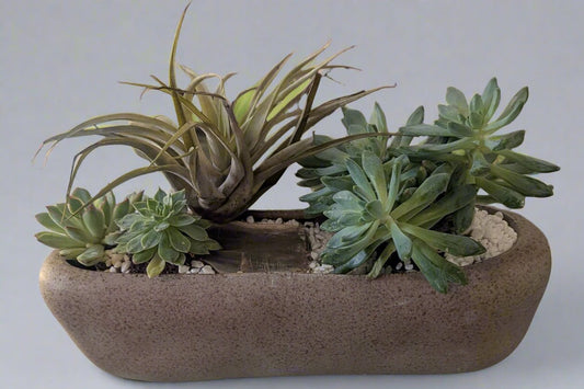 Earth Vase Plants